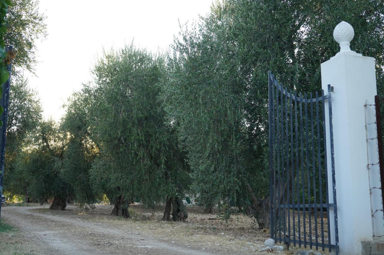 Olive&Sea Villa-Sea Mattinata Bagian luar foto