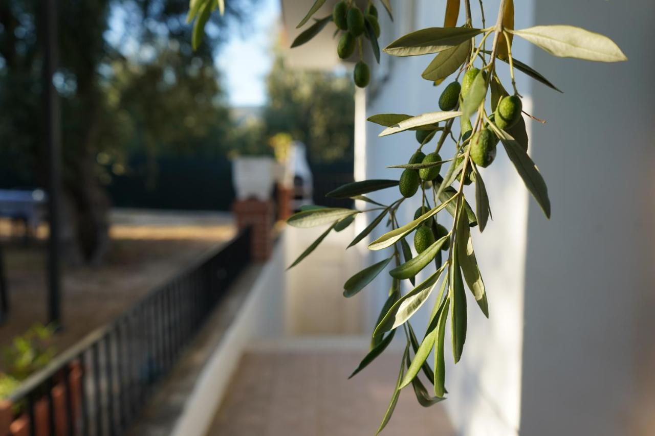 Olive&Sea Villa-Sea Mattinata Bagian luar foto
