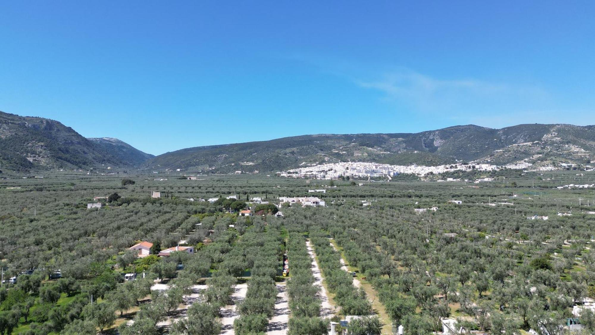 Olive&Sea Villa-Sea Mattinata Bagian luar foto