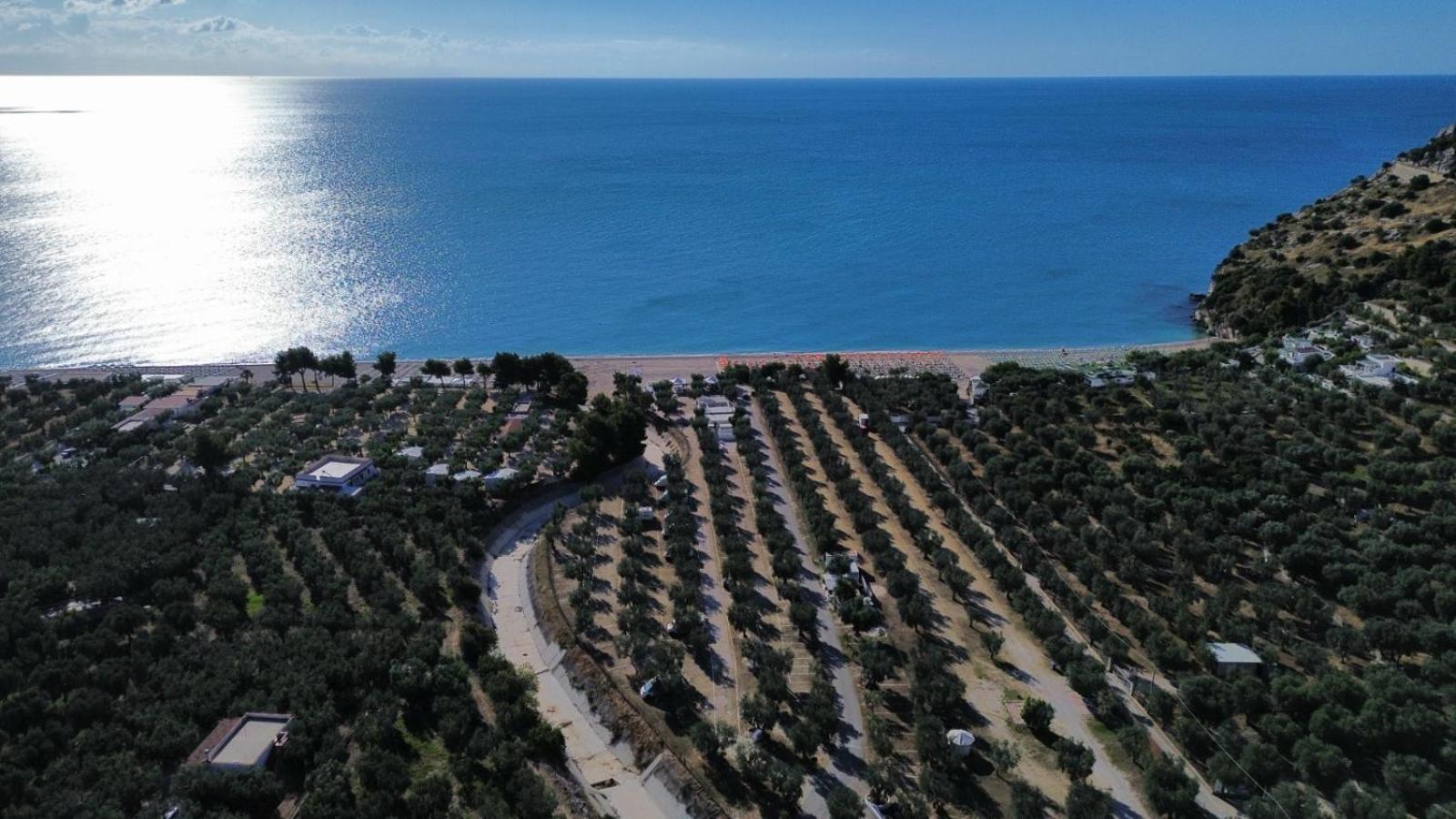 Olive&Sea Villa-Sea Mattinata Bagian luar foto
