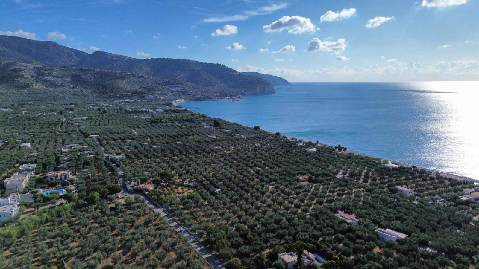 Olive&Sea Villa-Sea Mattinata Bagian luar foto